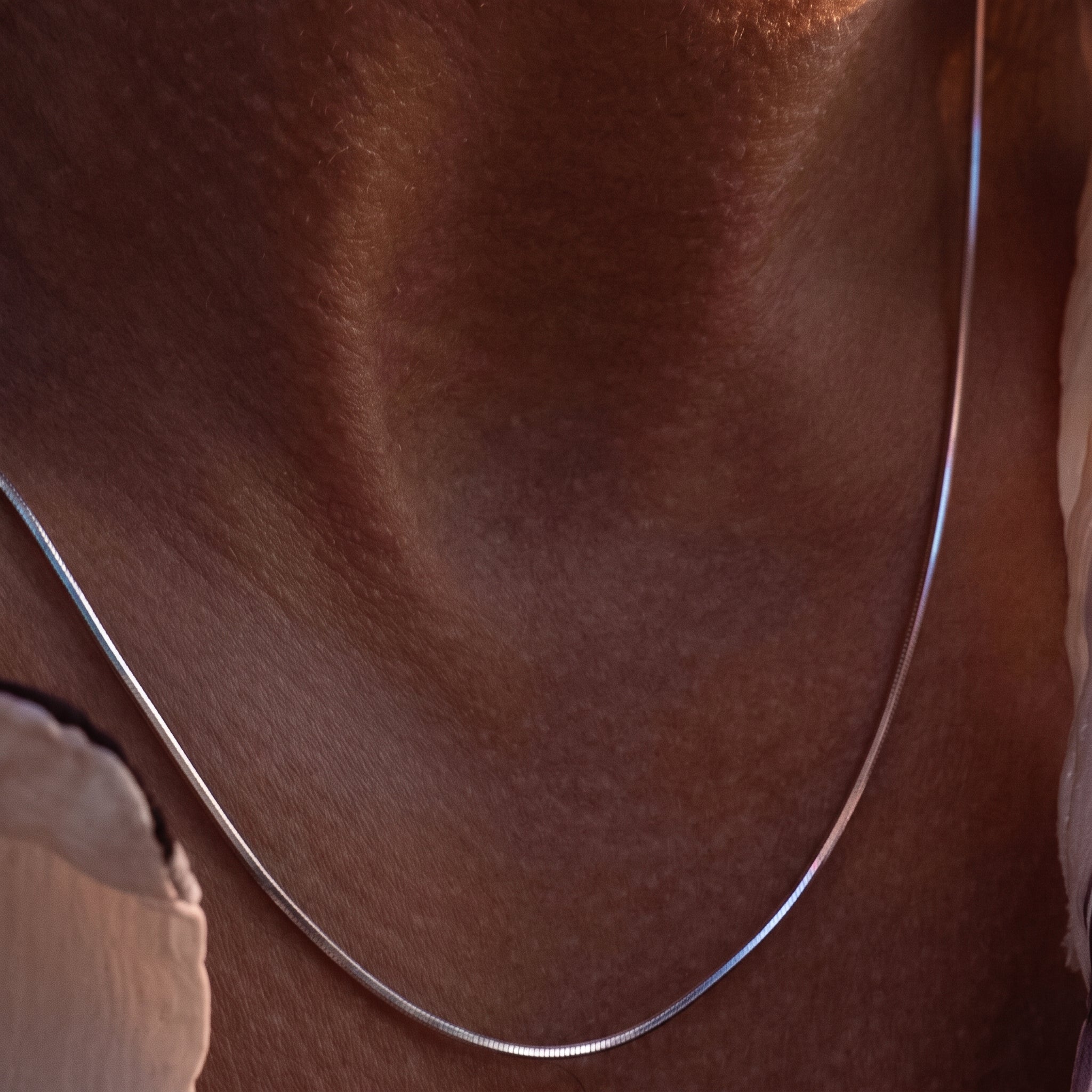Snake Bone Chain Necklace