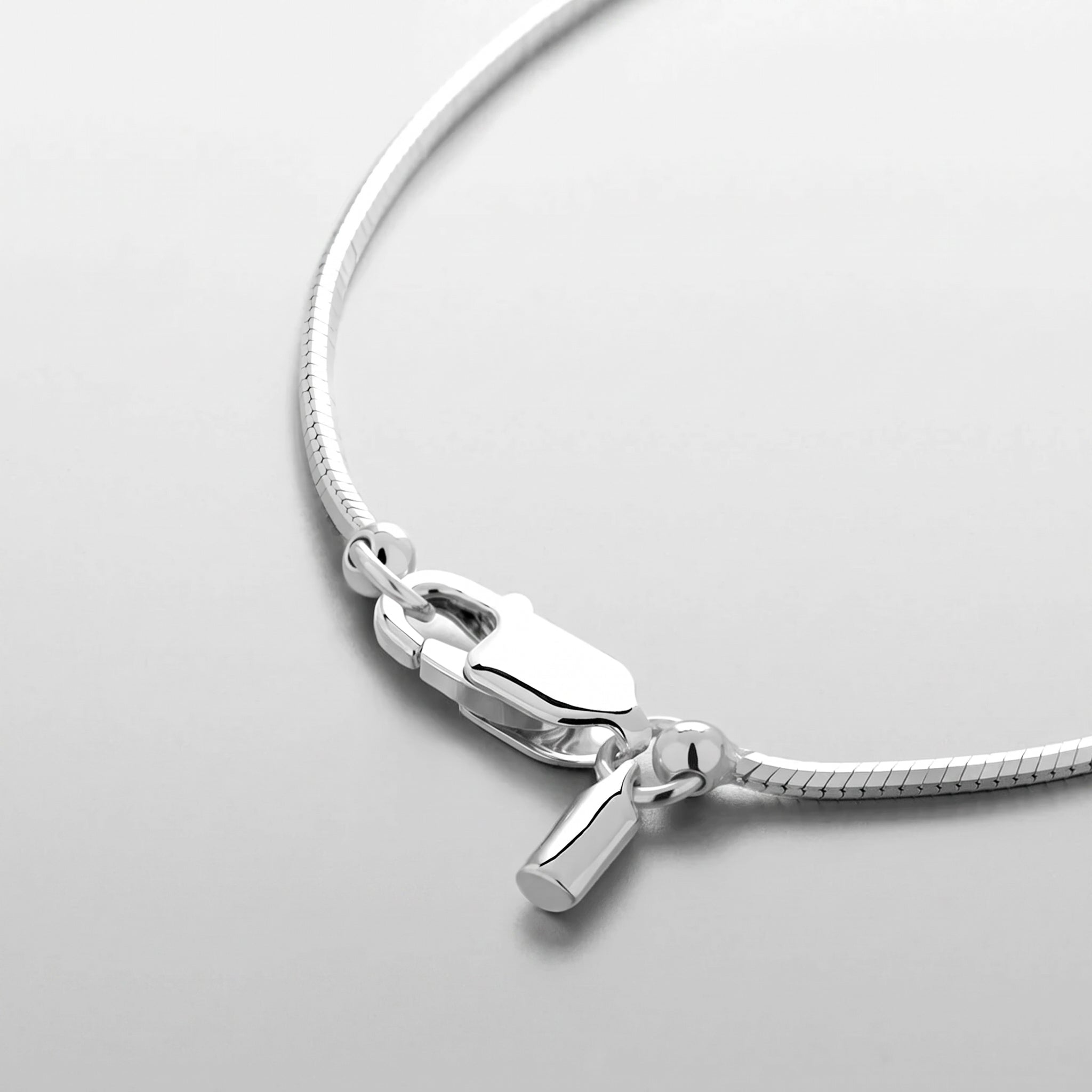 Snake Bone Chain Necklace