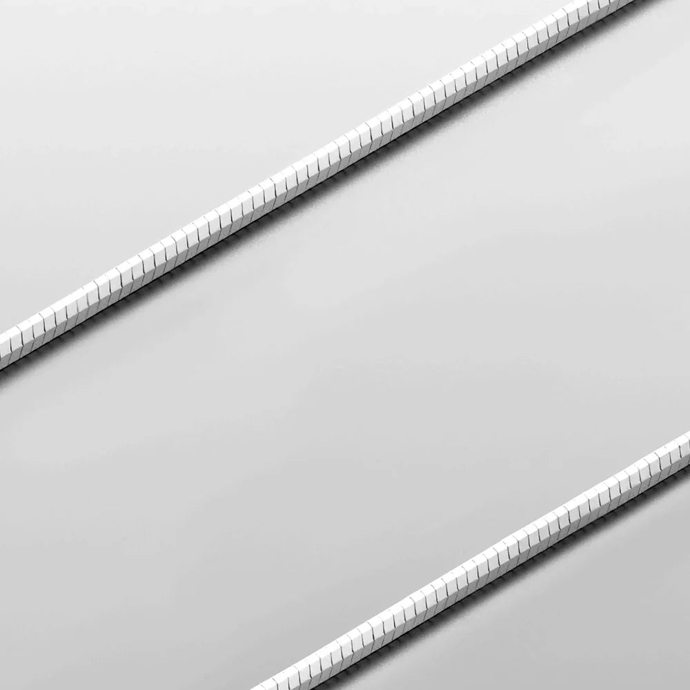 Snake Bone Chain Necklace