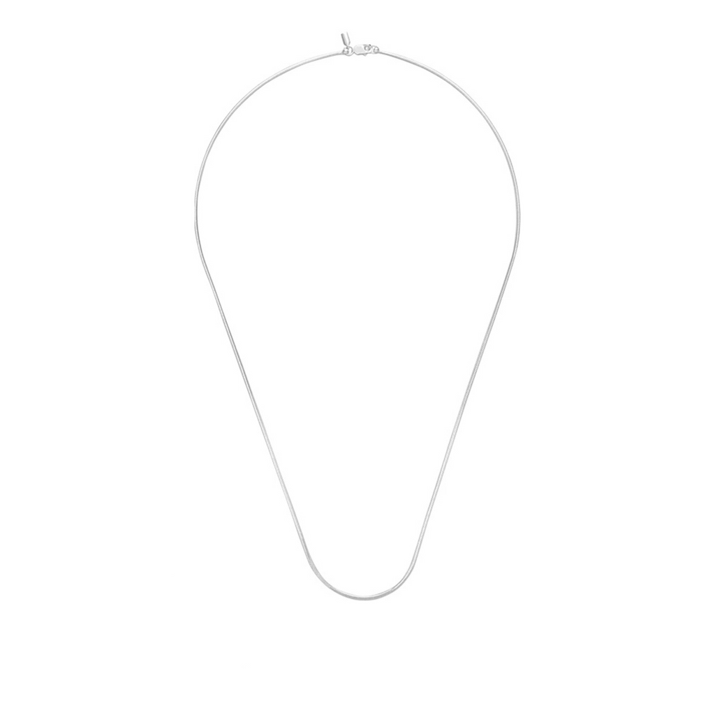 Snake Bone Chain Necklace